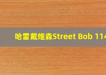 哈雷戴维森Street Bob 114